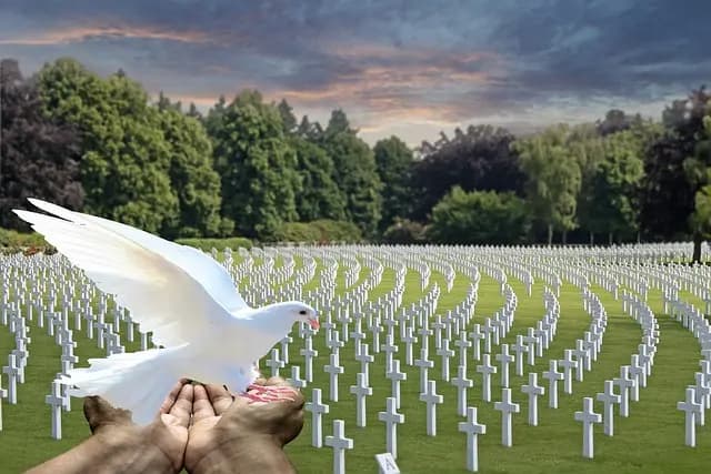 Comment Choisir un Accompagnement Funéraire Respectueux