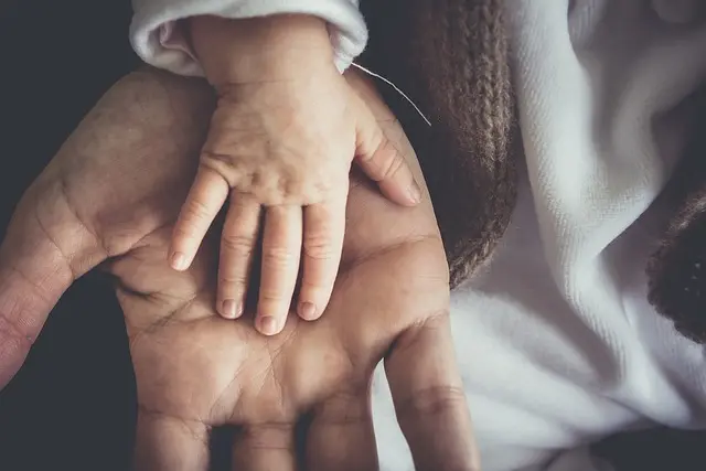 Les Meilleures Pratiques pour un Accompagnement Funéraire Émotionnel