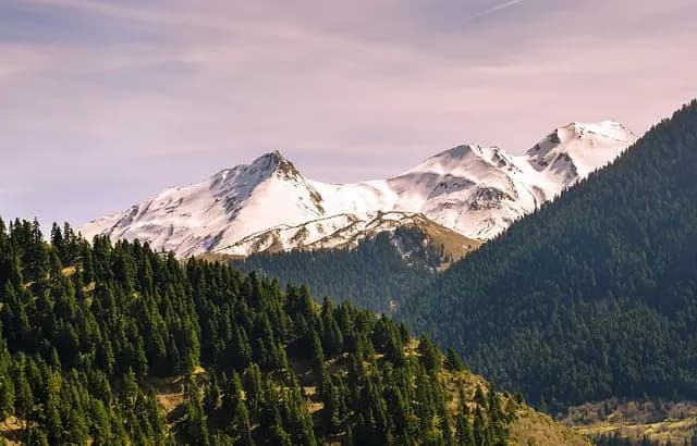 Comment Choisir un Accompagnement Funéraire Éthique et Respectueux