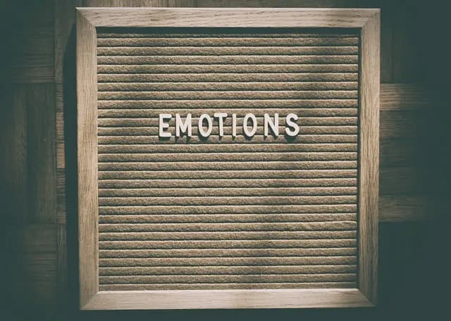 Comment Évaluer l'Impact Émotionnel d'un Accompagnement Funéraire