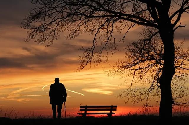 Les Alternatives en Accompagnement Funéraire : Ce Que Vous Devez Savoir