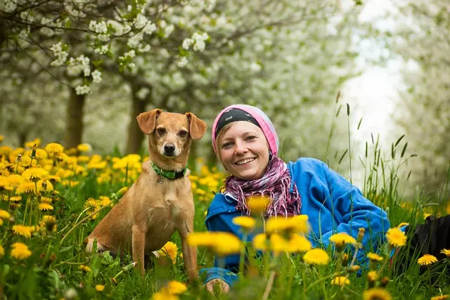 Les 7 étapes clés pour un accompagnement funéraire serein