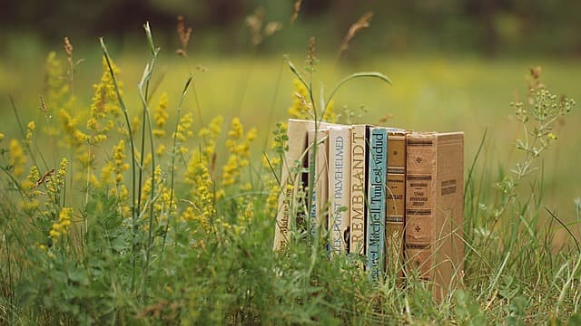 Comment Choisir un Accompagnement Funéraire Éthique et Respectueux