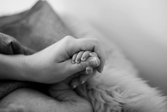 Les 5 Clés pour Réussir un Accompagnement Funéraire Émotionnel